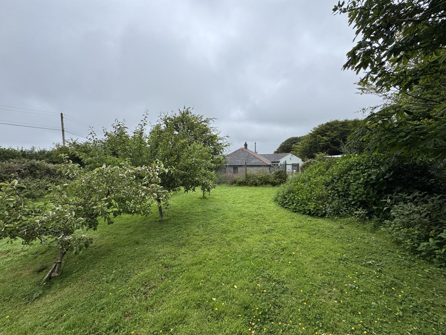 Busveal, Redruth